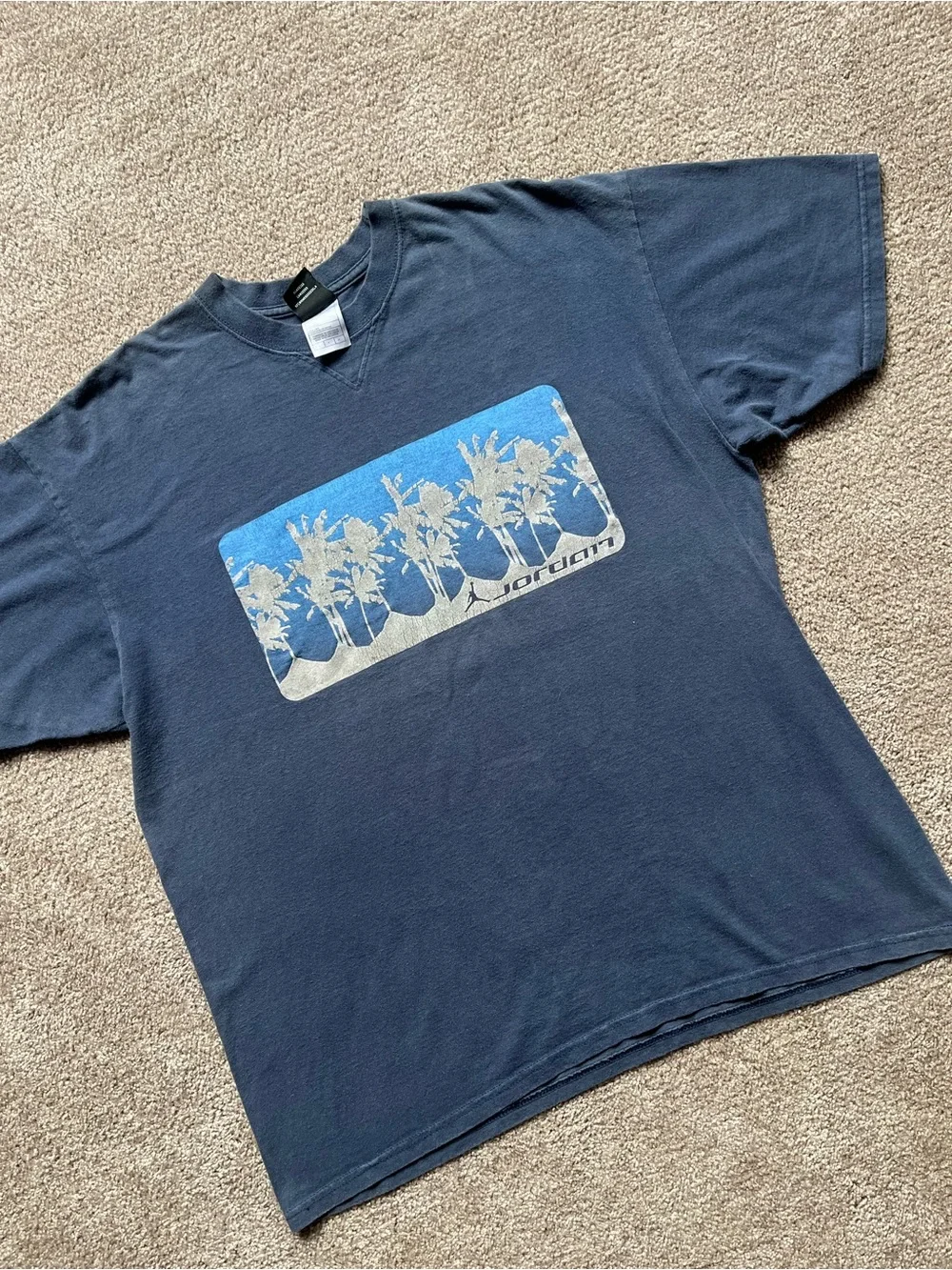 VTG 00’s / Y2K Nike Air Jordan Palm Tree Puff Print Blue Graphic Tee